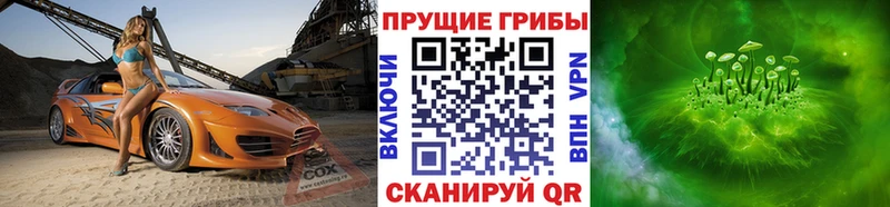 Купить где Кондопога Галлюциногенные грибы Cubensis