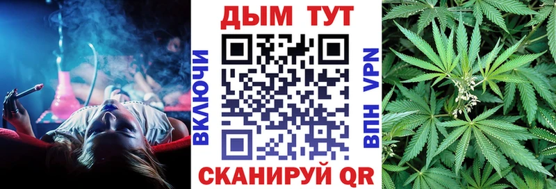 Купить где  Кондопога  Канабис индика 